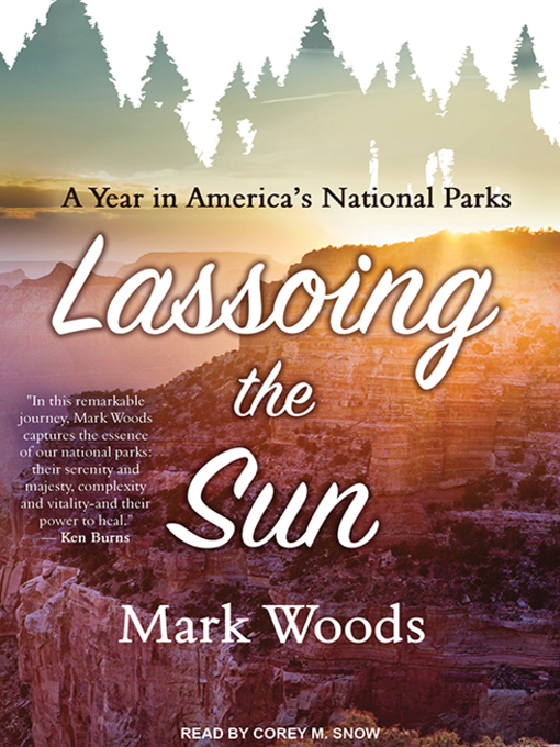 Cover image for Lassoing the Sun